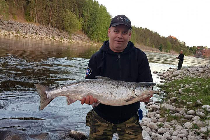 ampa61